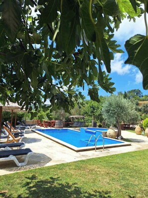 Seasonal outdoor pool, open 9:00 AM to 6:00 PM, pool umbrellas