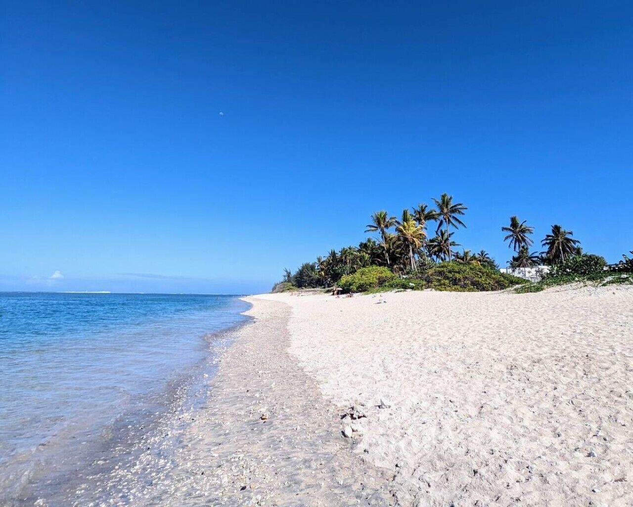 Playa