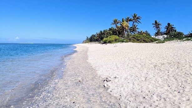 A beach with clear blue water, white sand, and palm trees. - Villa Néréa - 4 Bedrooms and Pool - Near the Lagoon (Saint-Paul)