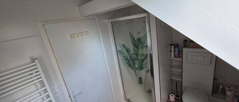 A bathroom with a shower, toilet, and a small shelf with toiletries.