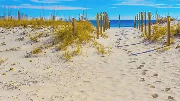A beach pathway leading to the ocean with wooden posts and sand. - The Big Surf II - Gulf View - Beach Pool and Fun (Gulf Shores)