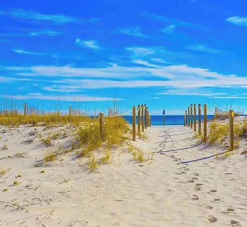 The Big Surf II - Gulf View - Beach Pool and Fun