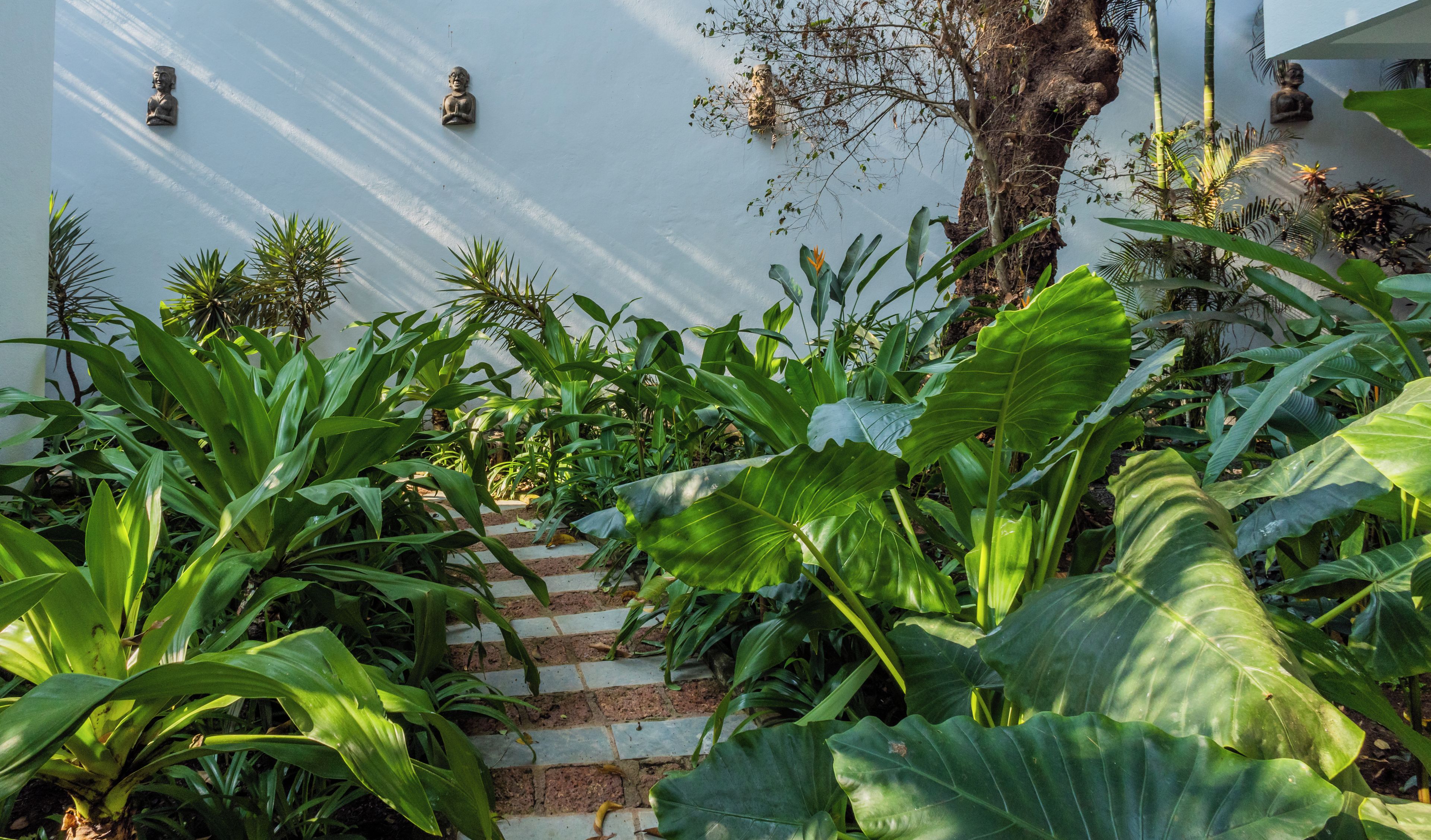 A staircase surrounded by lush greenery and a white wall with decorative statues.