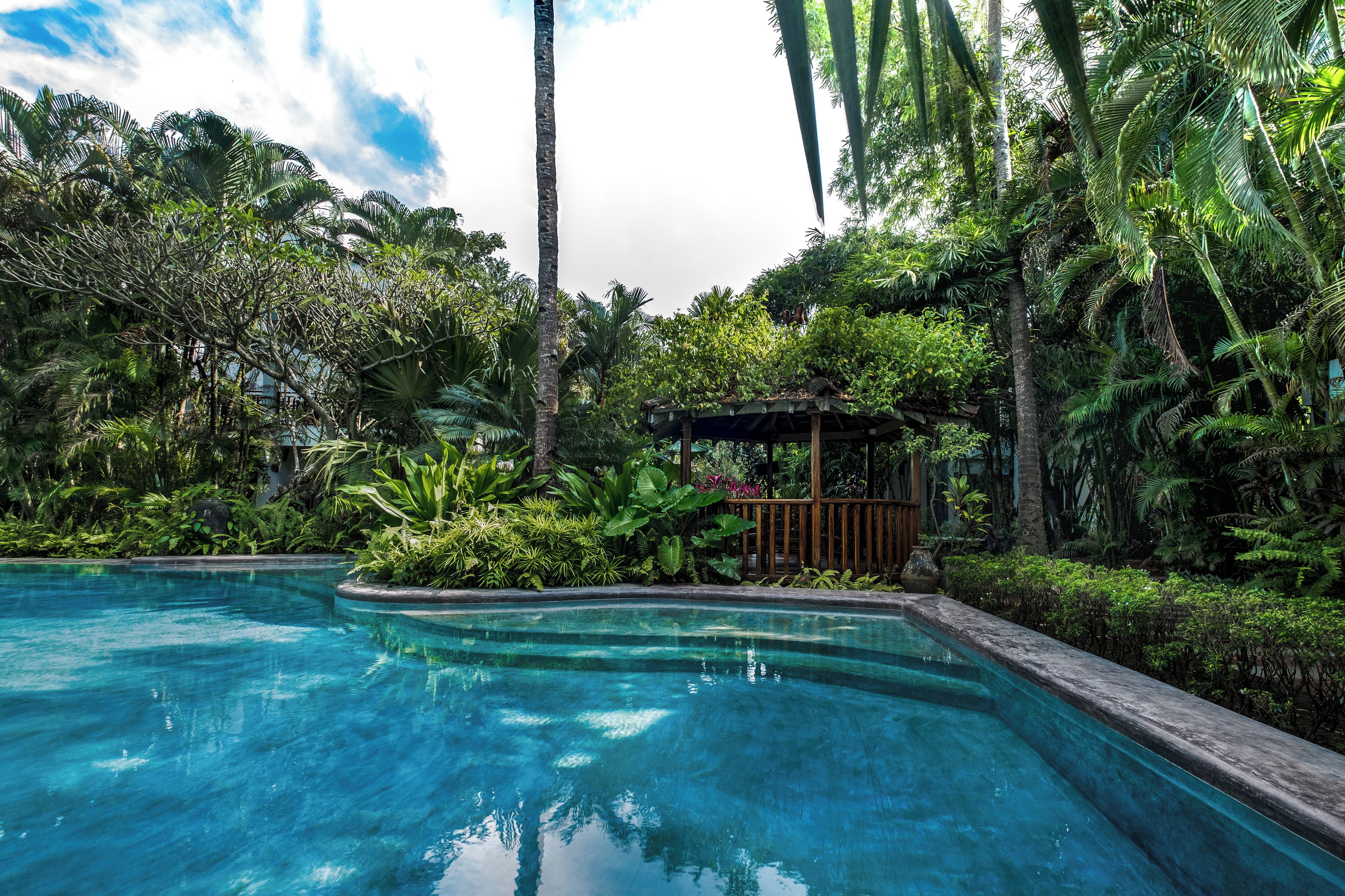 Une piscine d’eau cristalline, entourée d’une végétation tropicale luxuriante et agrémentée d’un belvédère en bois.