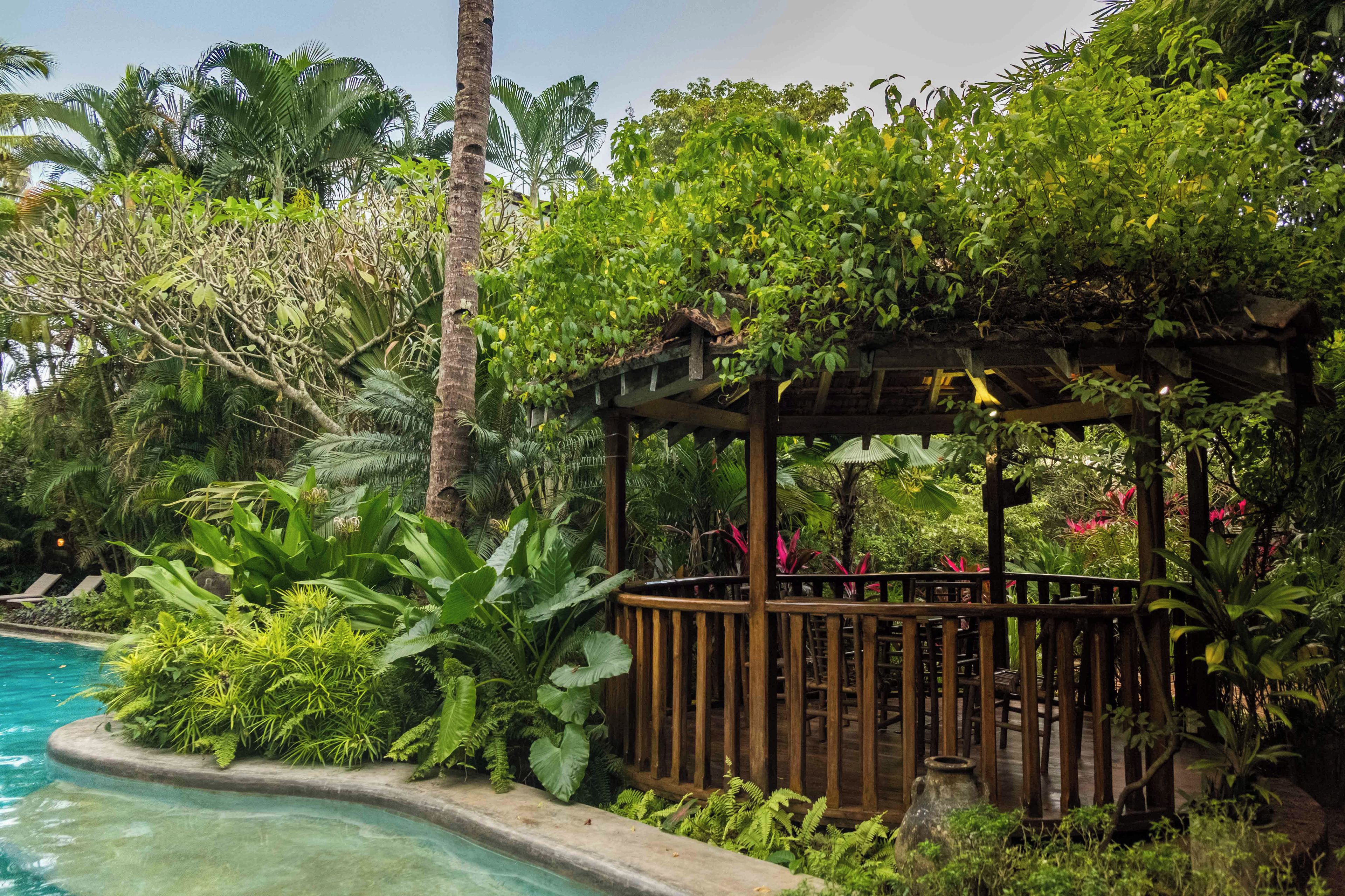 Una piscina rodeada de exuberante vegetación y un quiosco de madera.