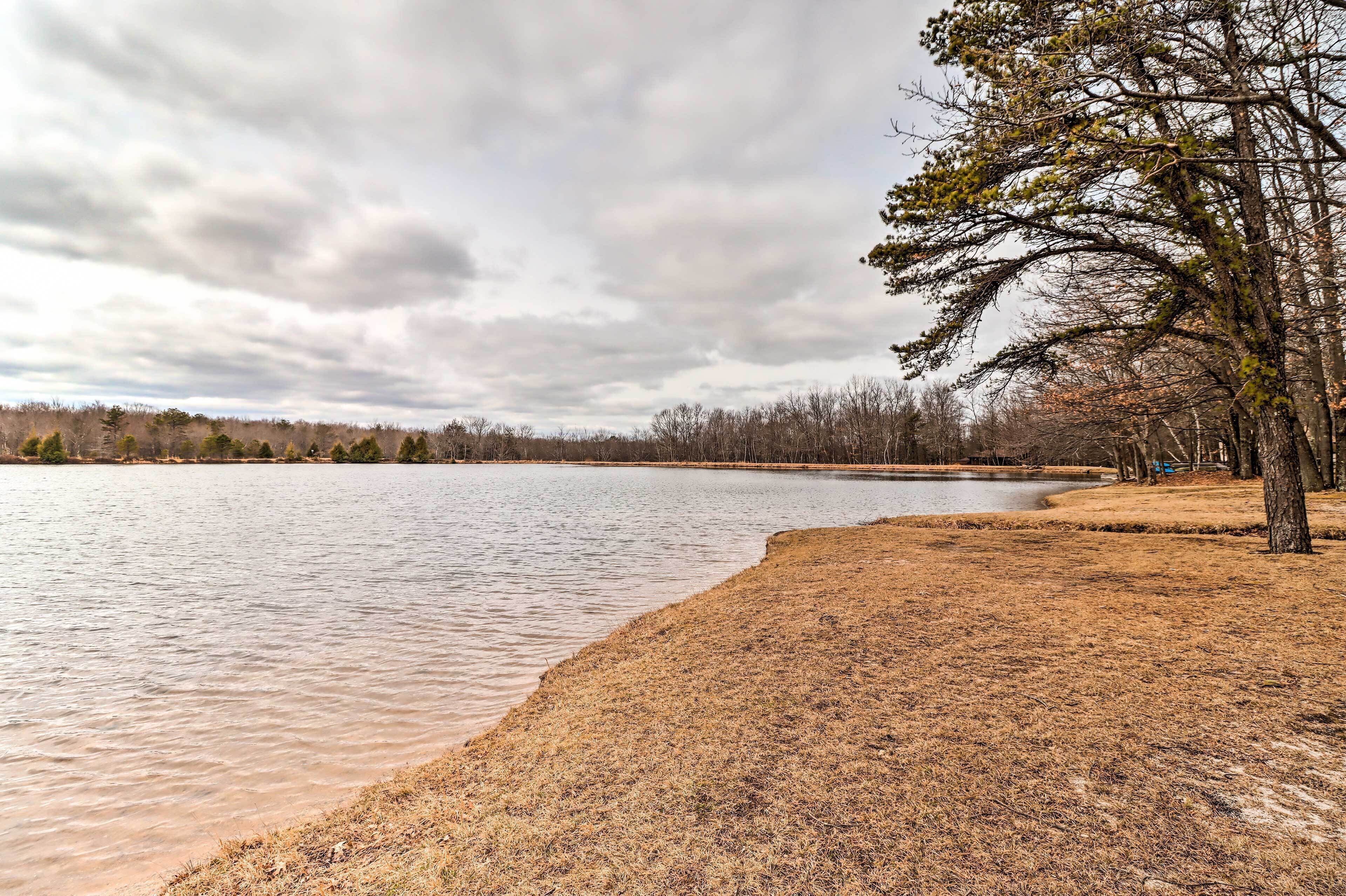 A lakeside view with a grassy shoreline and trees.