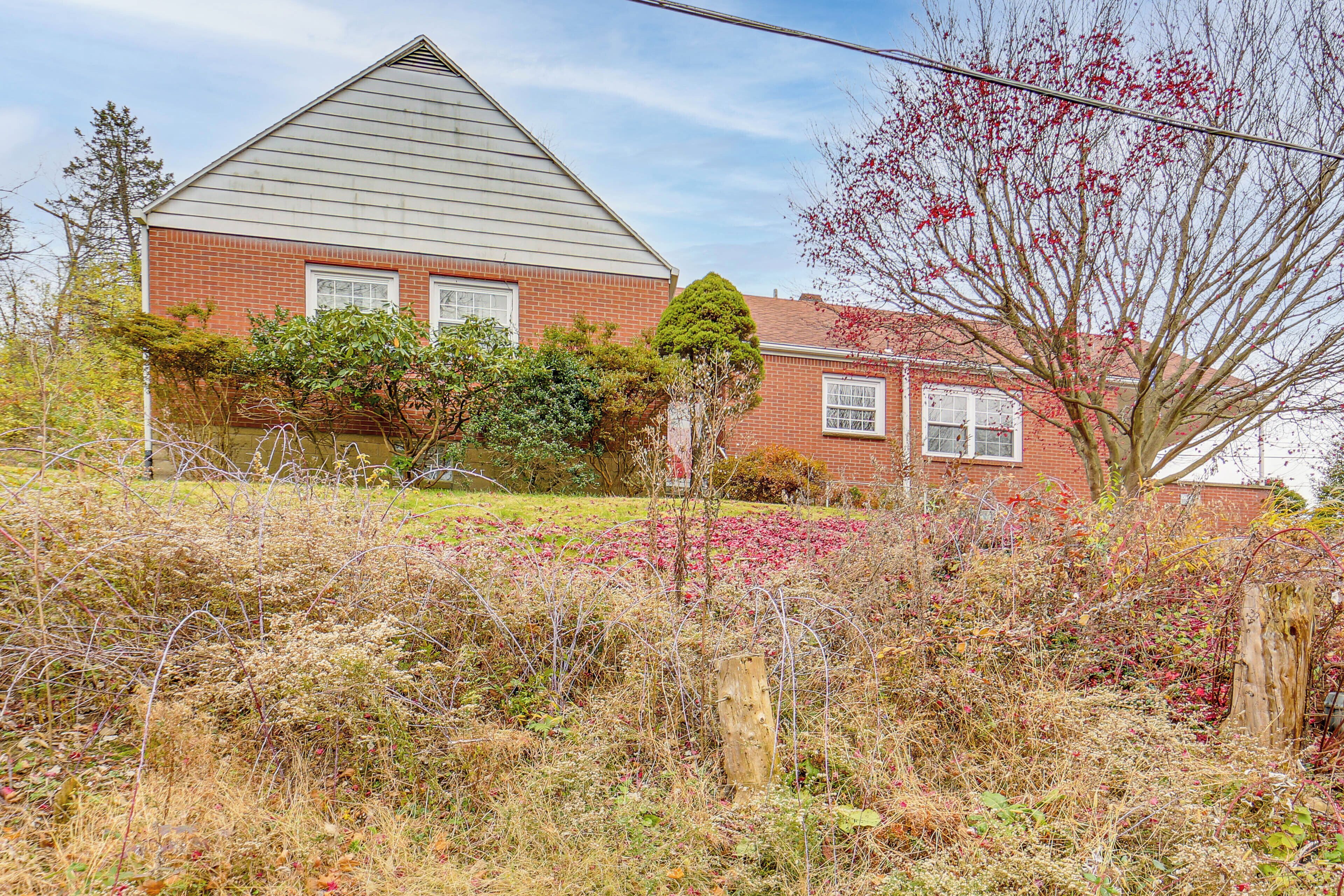 A two-story brick house with a gabled roof, surrounded by overgrown vegetation and a tree with red flowers.