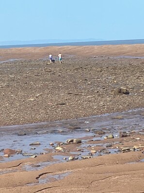 Sun-loungers, beach towels - See the worlds highest tides and stay in this splendid 2 bedroom cottage (Tennycape)