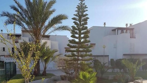 A landscaped courtyard with palm trees, a central evergreen, and a paved walkway. - Apartment in Almeria With Shared Pool (Vera)