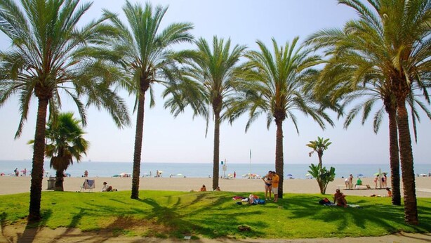 A beach with palm trees, people sunbathing, and the ocean in the background. - Malaga Refino Apartment With Rooftop Pool (Málaga)
