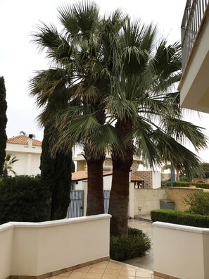 Property grounds - WELCOME In (Sicilia)