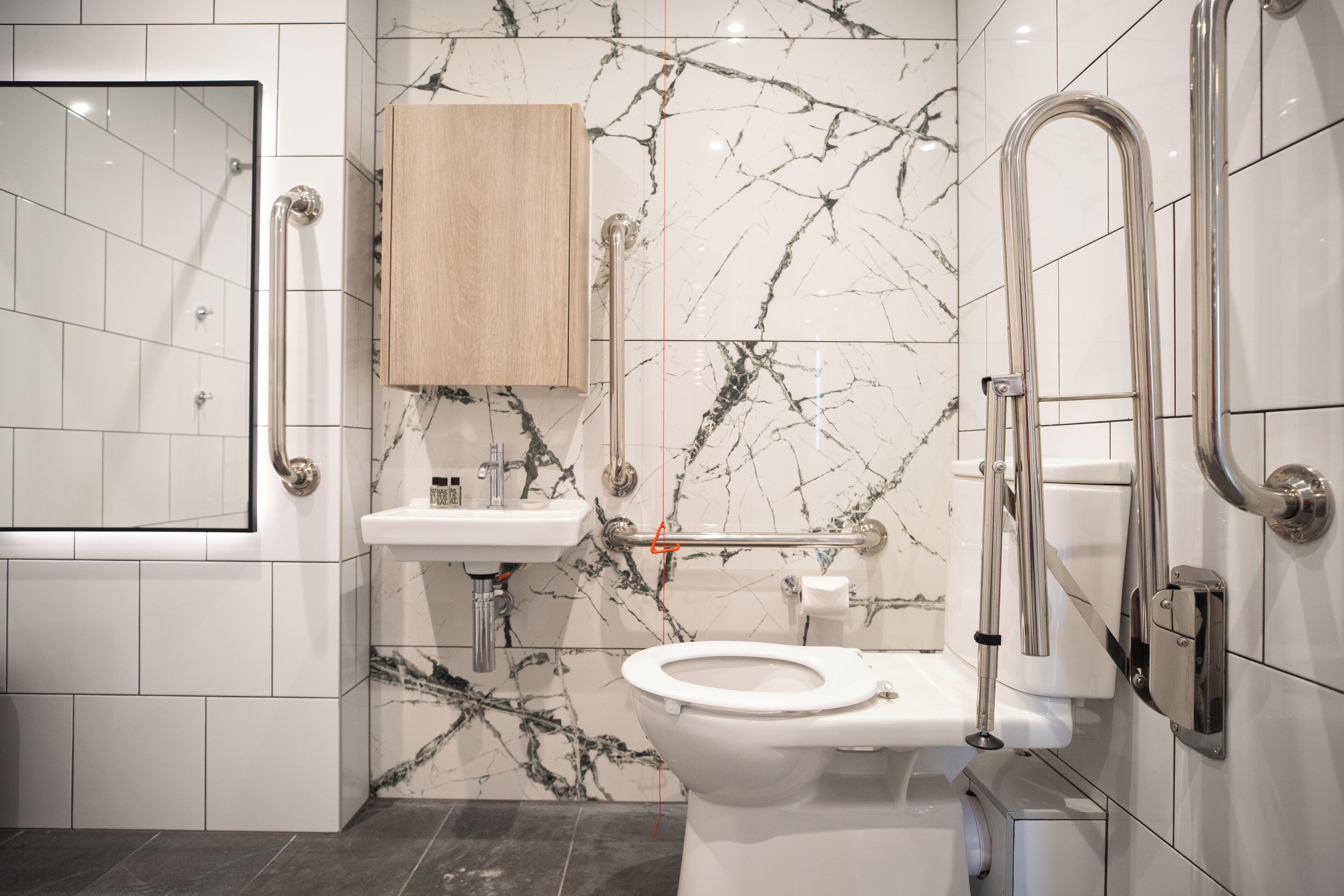 Ein modernes Badezimmer mit Dusche, Toilette, Waschbecken und Haltegriffen.