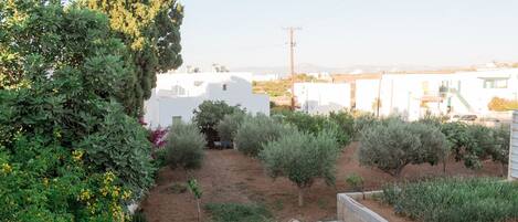 المنطقة المحيطة بالمنشأة