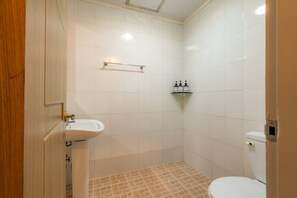 Hair dryer, towels, shampoo, toilet paper