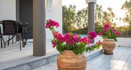 Villa Catina | 3BR Private Pool Near Marmari Beach