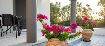 Villa Catina | 3BR Private Pool Near Marmari Beach
