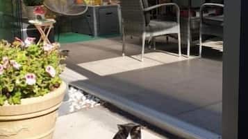 Family Room, Garden View | Outdoor dining