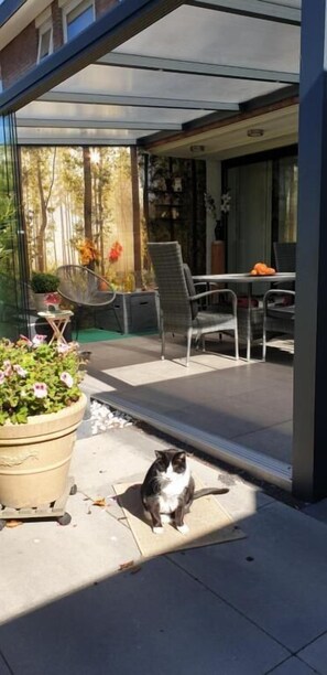 A patio area with outdoor furniture, a potted plant, and a cat. - B & B Acacia (Goirle)