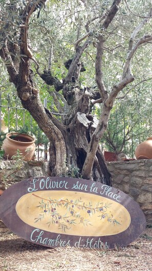 Exterior detail - l'olivier sur la place bed and breakfast (La Rochegiron)