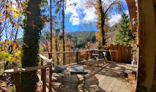Isolated cabin in the forest