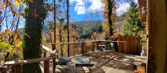 Isolated cabin in the forest