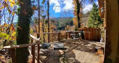 Isolated cabin in the forest
