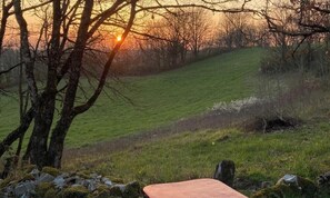 Une colline verdoyante, avec un coucher de soleil en arrière-plan, un arbre au premier plan et un banc en pierre.