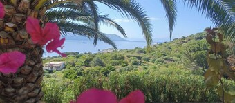 Villa nestled in the green in Salina, with beautiful views of Lipari.