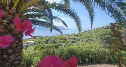 Villa nestled in the green in Salina, with beautiful views of Lipari.