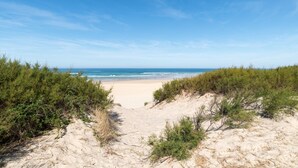 Ein Strand mit Dünen und spärlicher Vegetation.