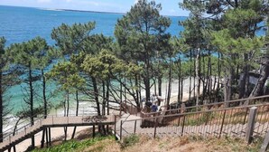 Eine Küstenlandschaft mit einer Holztreppe, die zu einem Sandstrand führt, umgeben von Kiefern.