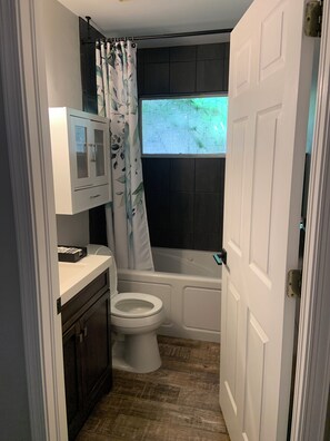 Bathroom - NAPLES 4 MILES TO THE BEACH ! Entire home with 3 bed and 2 bath  plus loft ! (Naples)