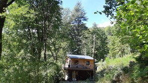 Exterior - House Chalet isolated in the forest (Lespinassière)