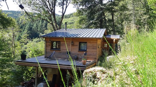 House Chalet isolated in the forest
