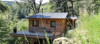 House Chalet isolated in the forest
