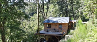 House Chalet isolated in the forest