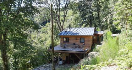 Maison Chalet isolé en pleine forêt