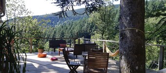 House Chalet isolated in the forest