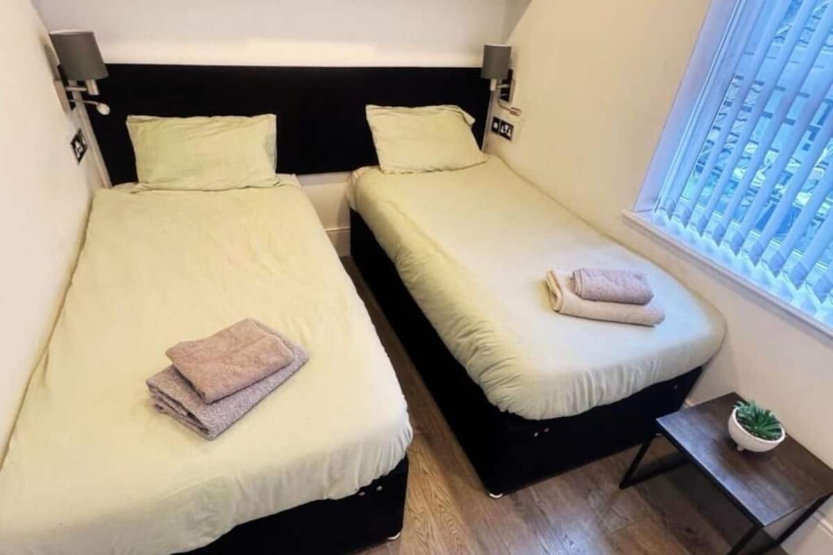 Deux lits simples avec des têtes de lit, une petite table avec une plante et une fenêtre avec des stores.