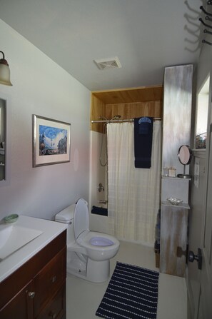 Hair dryer, towels, soap, toilet paper