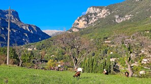 Miscellaneous - La Maison du Paysan - Locations-06 (Le Bar-sur-Loup)