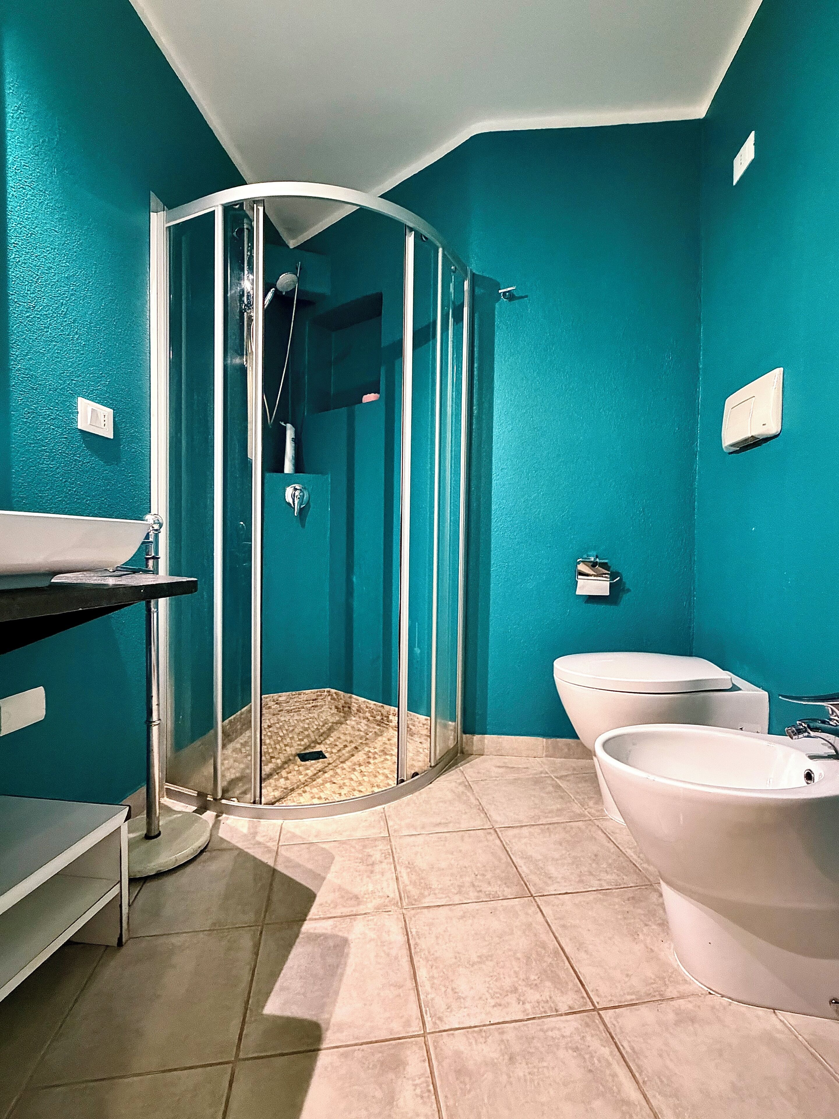 Shower, hair dryer, bidet, towels