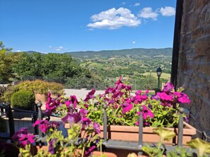 Property grounds - House with 4 rooms pool and AC (Gaglietole)