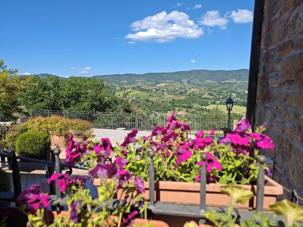 Un balcon offrant une vue sur des collines ondoyantes et un avion au loin.