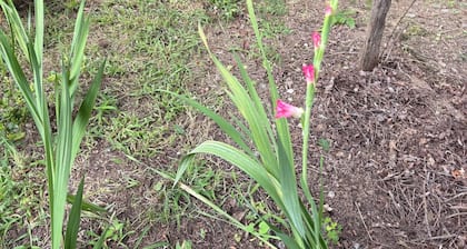 Peaceful 50+ campsite retreat in charming Bryson City perfect for nature lovers