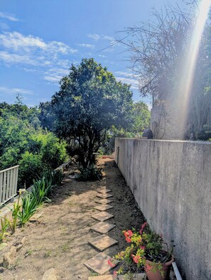 Property grounds - Studio in Cavalière, close to the beach (Le Lavandou)