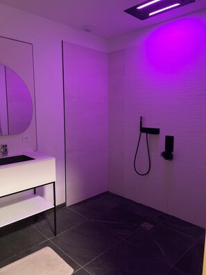 Shower, hair dryer, towels, toilet paper - Modern villa 10 minutes from the beach (Grimaud)