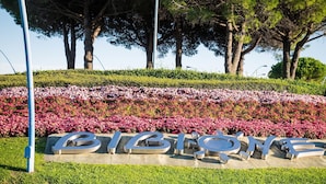 A sign with the word 'BIBLIOTE' in large letters, surrounded by a landscaped area with trees and flowers.