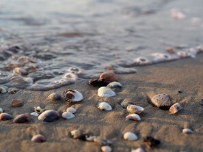 A sandy beach with scattered seashells and gentle waves. - Comfortable Flat Near the Beach (San Michele al Tagliamento)