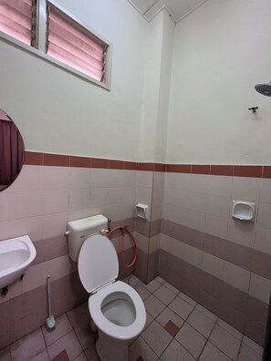 Shower, bidet, towels, soap